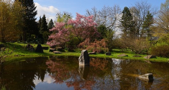 Rozwój Ogrodu Botanicznego w Łodzi - konsultacje społeczne