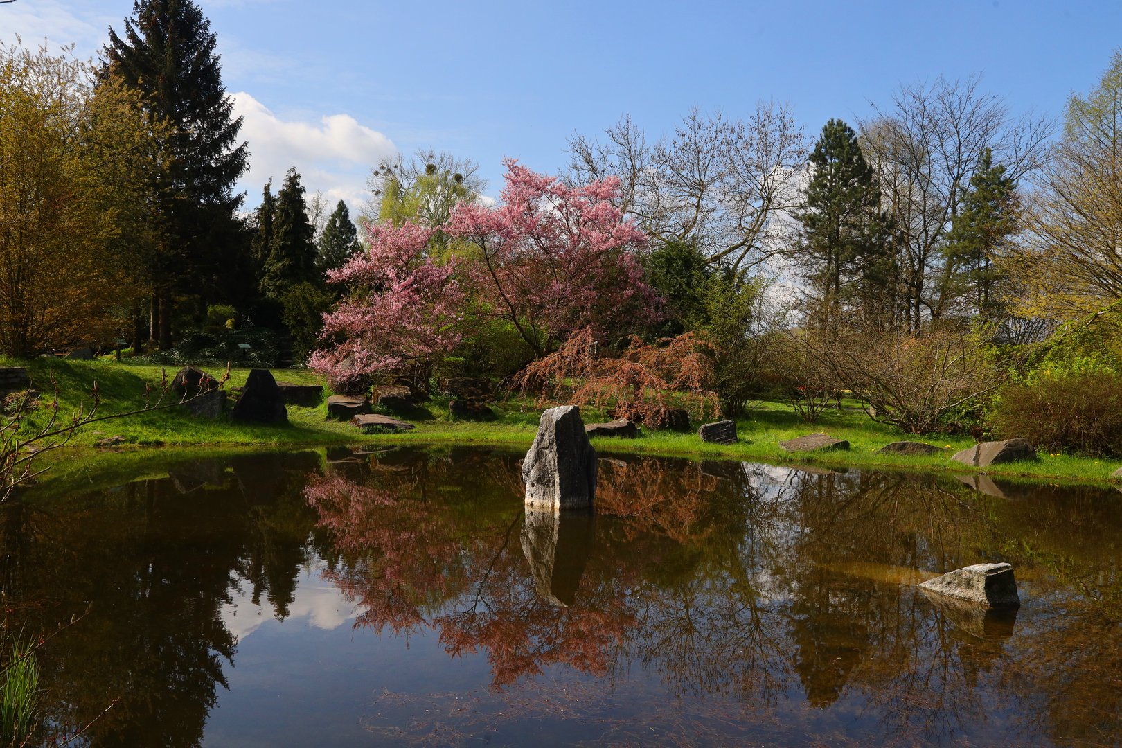 Rozwój Ogrodu Botanicznego w Łodzi - konsultacje społeczne